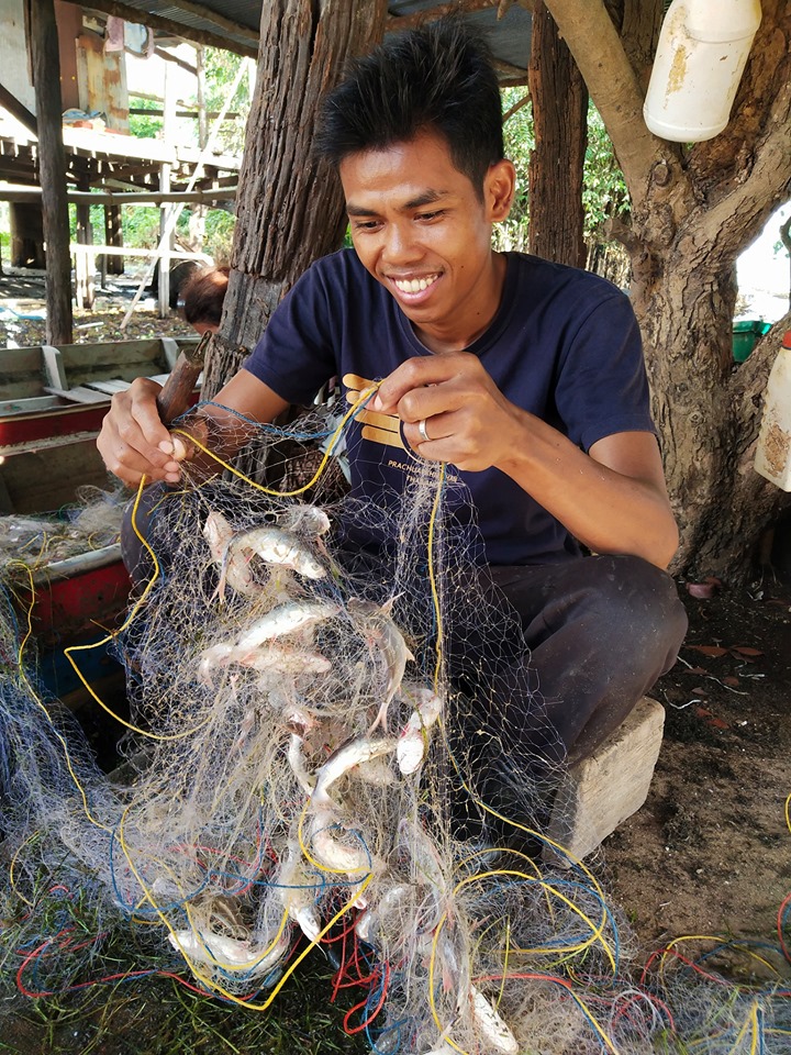 ชาวประมงกำลังปลดปลาออกจากอวน