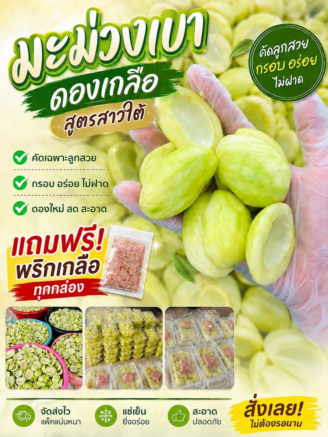 มะม่วงเบาดอง รูปที่ 10