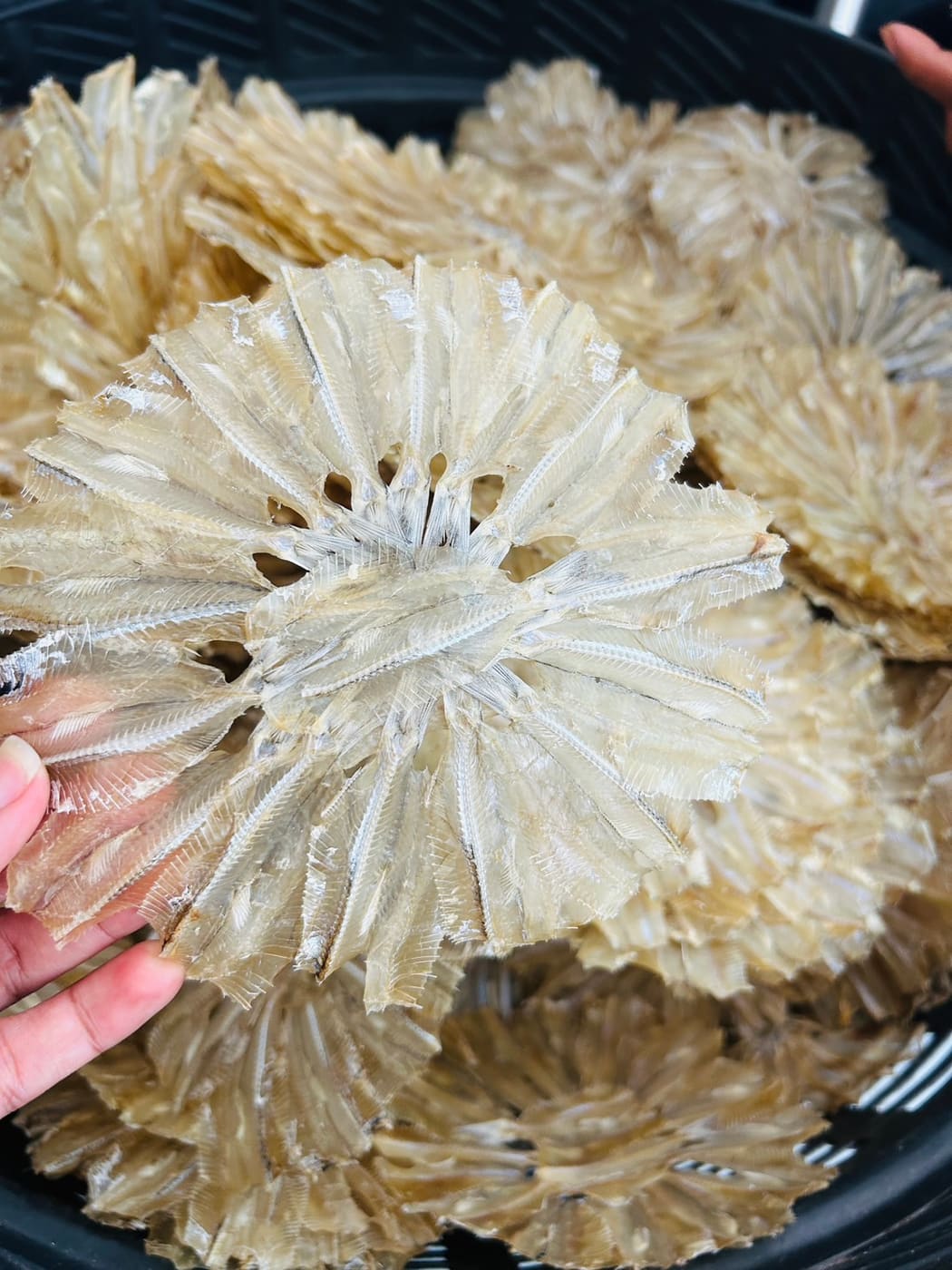 ปลาเกล็ดขาวแห้ง (แบบวง) รูปที่ 4