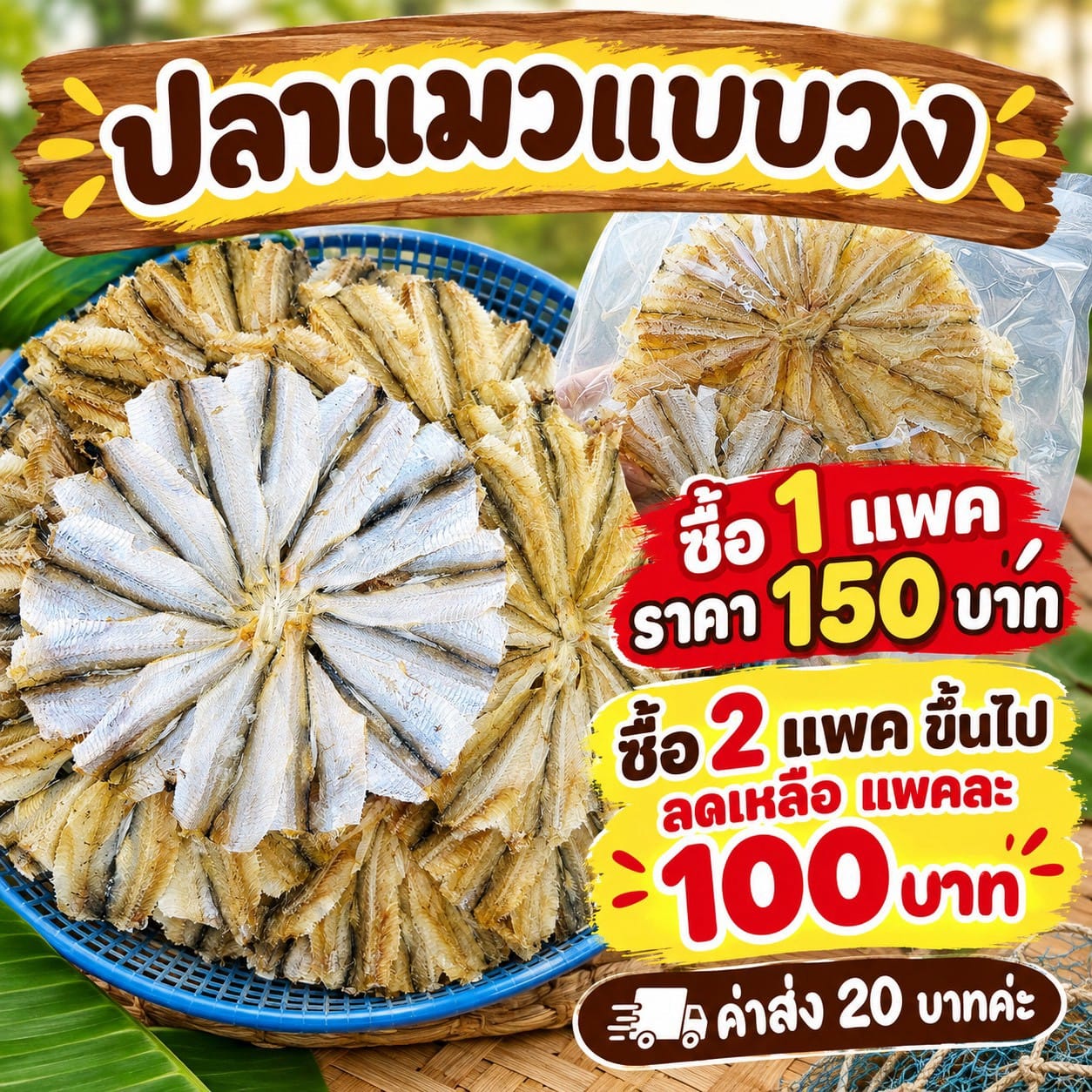 ปลาแมว (แบบวง)