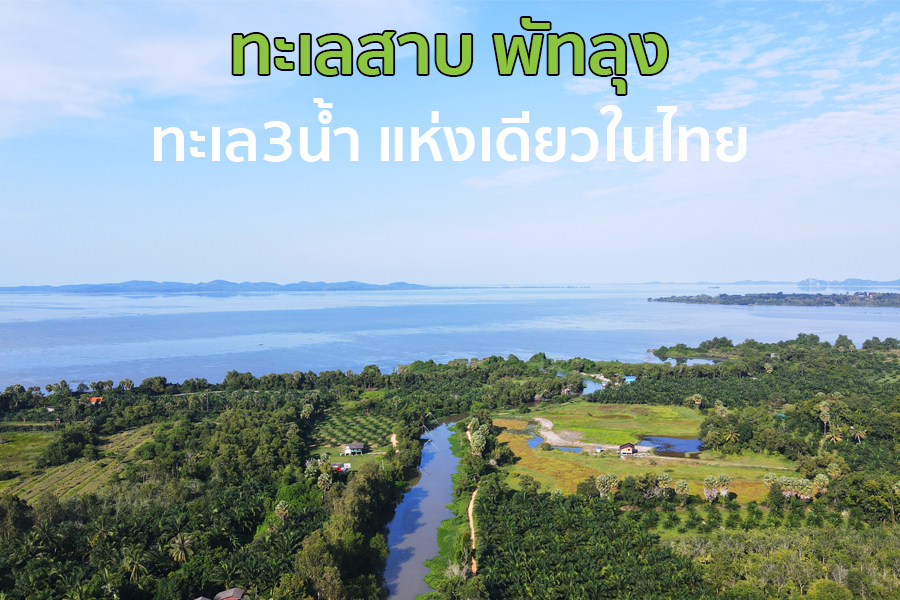 ภาพถ่ายทะเลสาบพัทลุงจากมุมสูง ทะเลสามน้ำแห่งเดียวในไทย