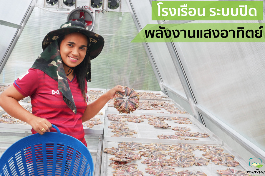 โรงเรือนระบบปิดพลังงานแสงอาทิตย์สำหรับตากปลา