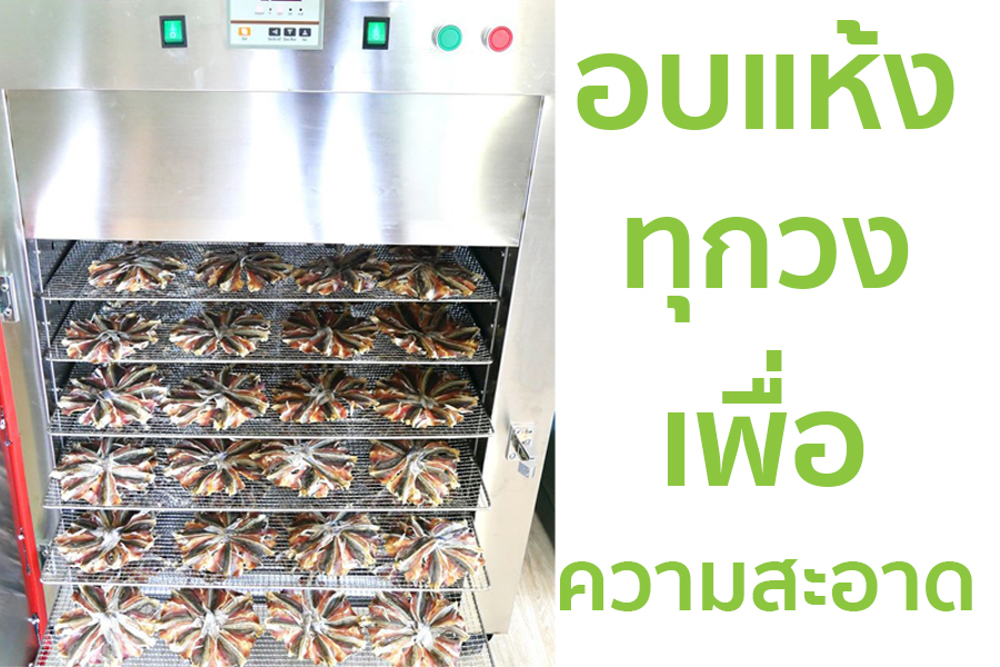 ตู้อบแห้งปลาหัวโม่งทุกวงเพื่อความสะอาด
